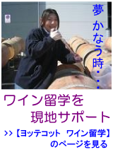 ワイン留学