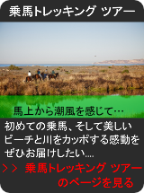 乗馬トレッキング