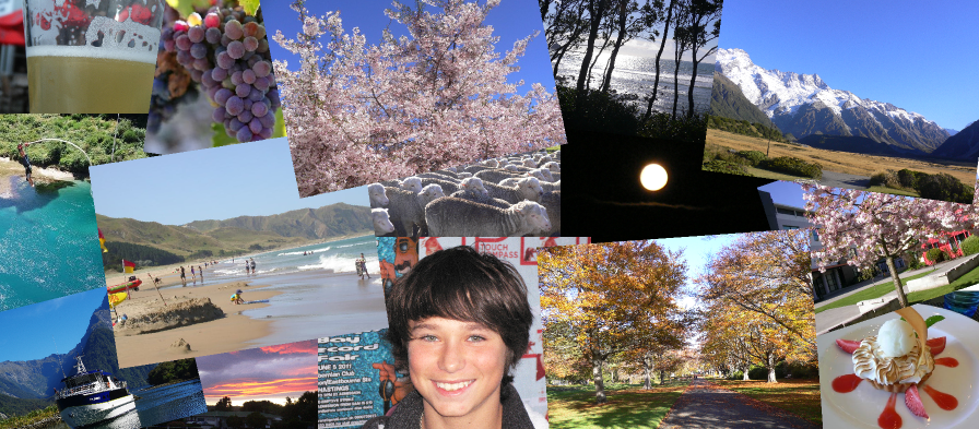 トップーフォト